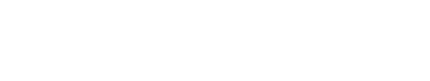 PRIMER Logo